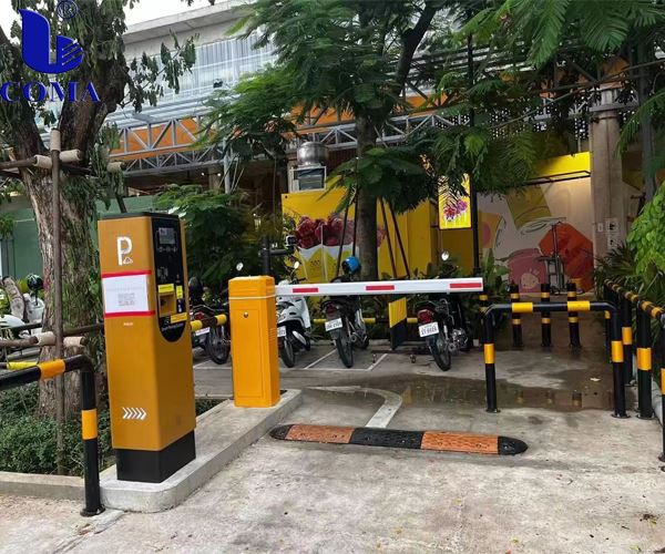 Sistema de emissão de estacionamento