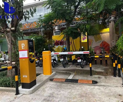 Sistema de emissão de estacionamento